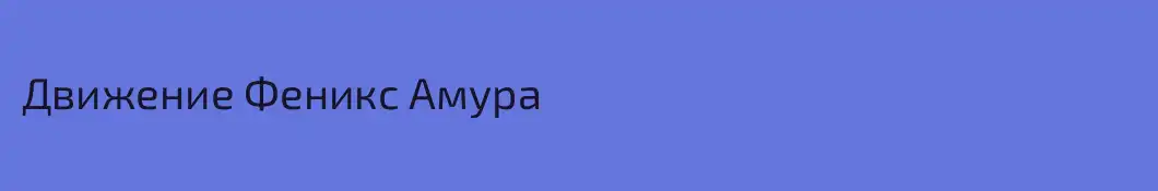 Движение Феникс Амура